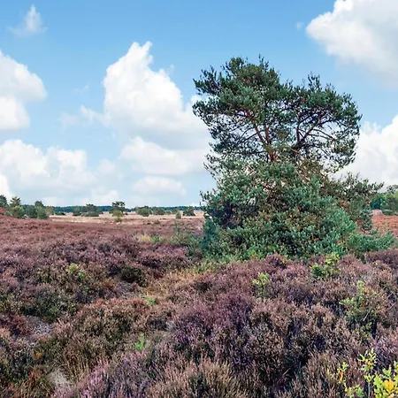In Near Veluwe Voorthuizen