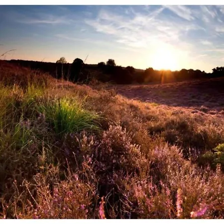 In Near Veluwe Voorthuizen