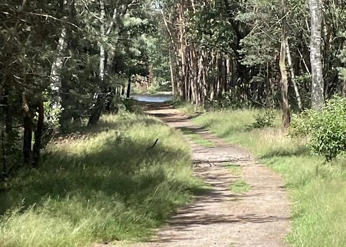 In Near Veluwe Semesterbostad
