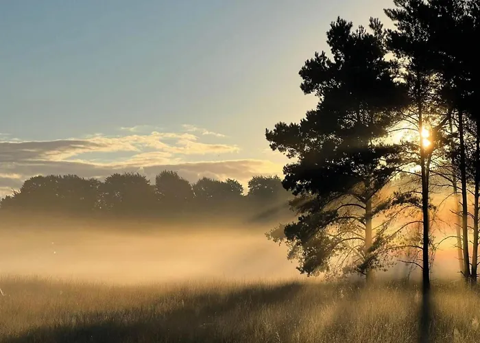 Semesterbostad In Near Veluwe Voorthuizen