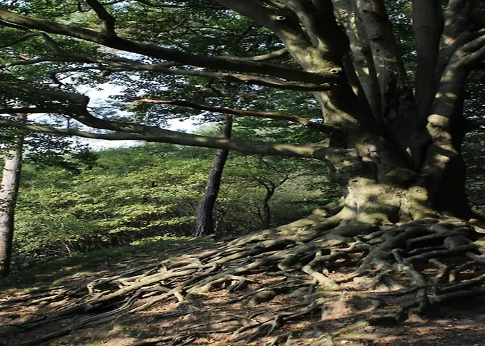 In Near Veluwe Semesterbostad *