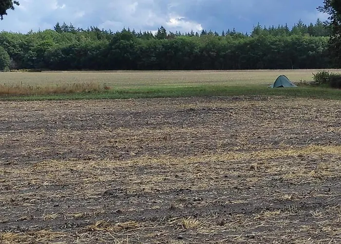 In Near Veluwe Semesterbostad Voorthuizen