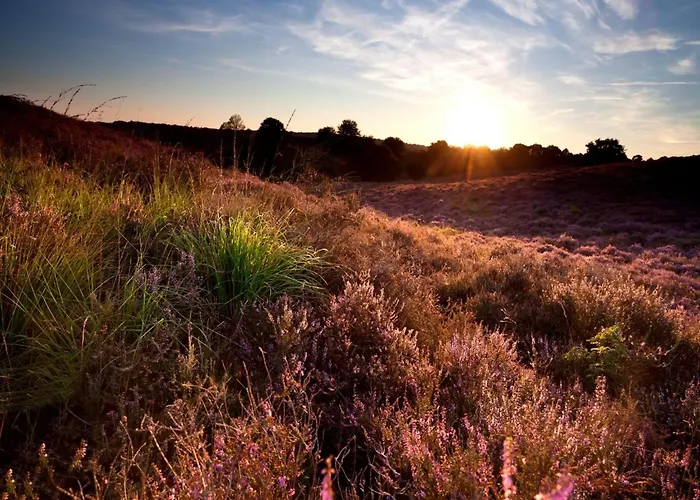 In Near Veluwe Semesterbostad *