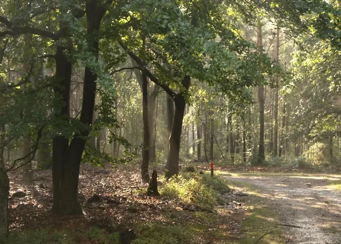 In Near Veluwe * Voorthuizen