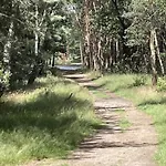 In Near Veluwe بيت للعطل