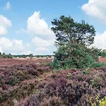 In Near Veluwe فورتهاوزن