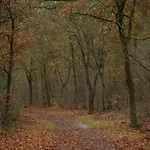 بيت للعطل In Near Veluwe *
