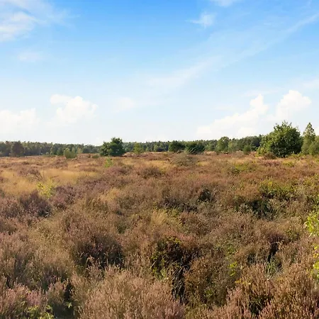 In Near Veluwe Nyaraló *