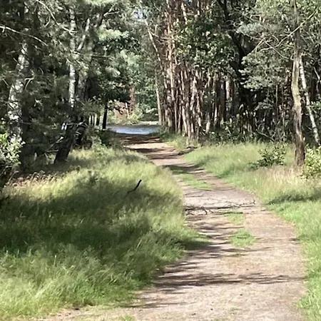 In Near Veluwe Nyaraló