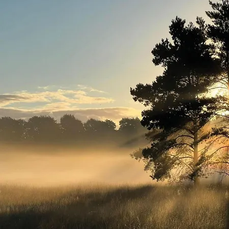 Nyaraló In Near Veluwe Voorthuizen