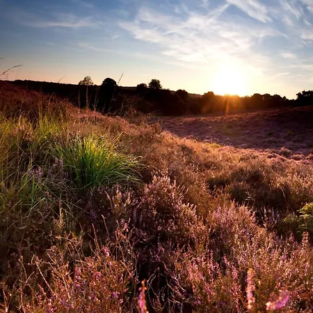 In Near Veluwe Nyaraló *