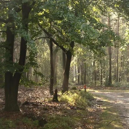 In Near Veluwe * Voorthuizen