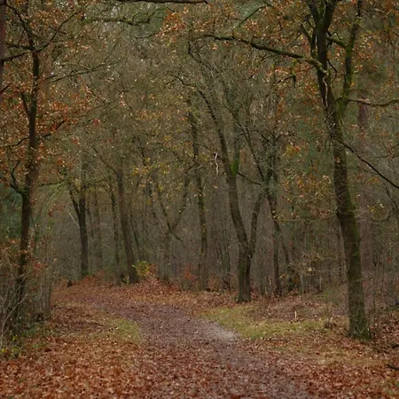 Nyaraló In Near Veluwe *